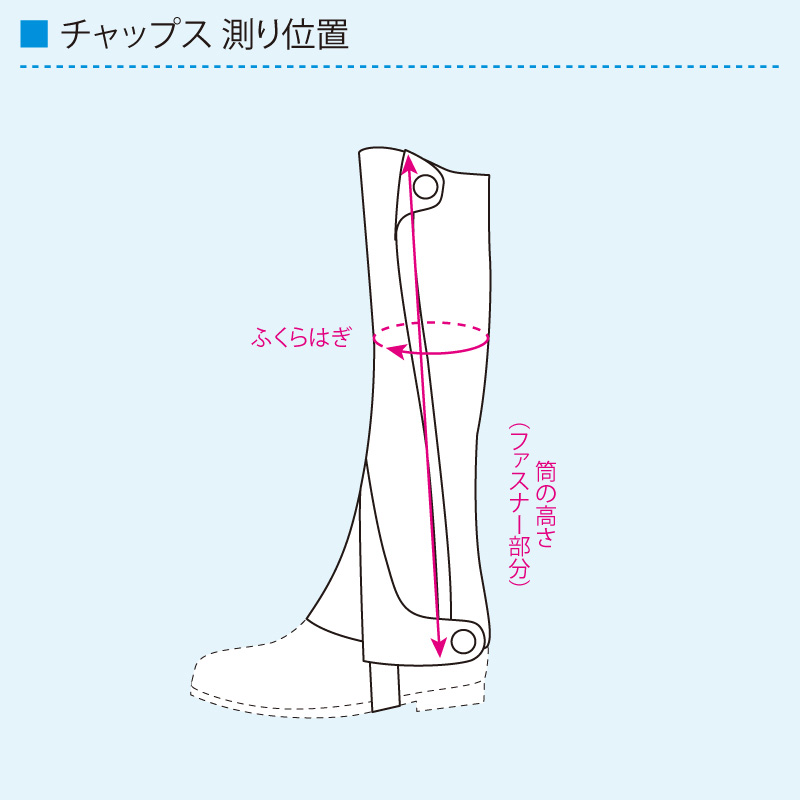 チャップス S 本革 カバロ